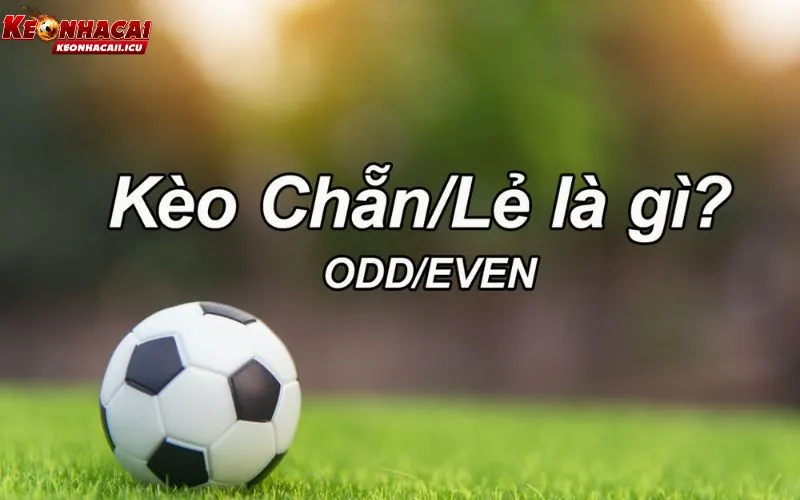 Kèo Chẵn Lẻ Là Gì? Kinh Nghiệm Theo Kèo Cực Dễ Hiểu 2 Kèo chẵn lẻ là gì và vì sao lại dễ tiếp cận?